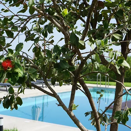 Pirgos-villas, Avra & Ostria Villa, Heated Pool , Amazing Sea View 别墅