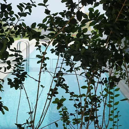 Pirgos-villas, Avra & Ostria Villa, Heated Pool , Amazing Sea View 马莱迈